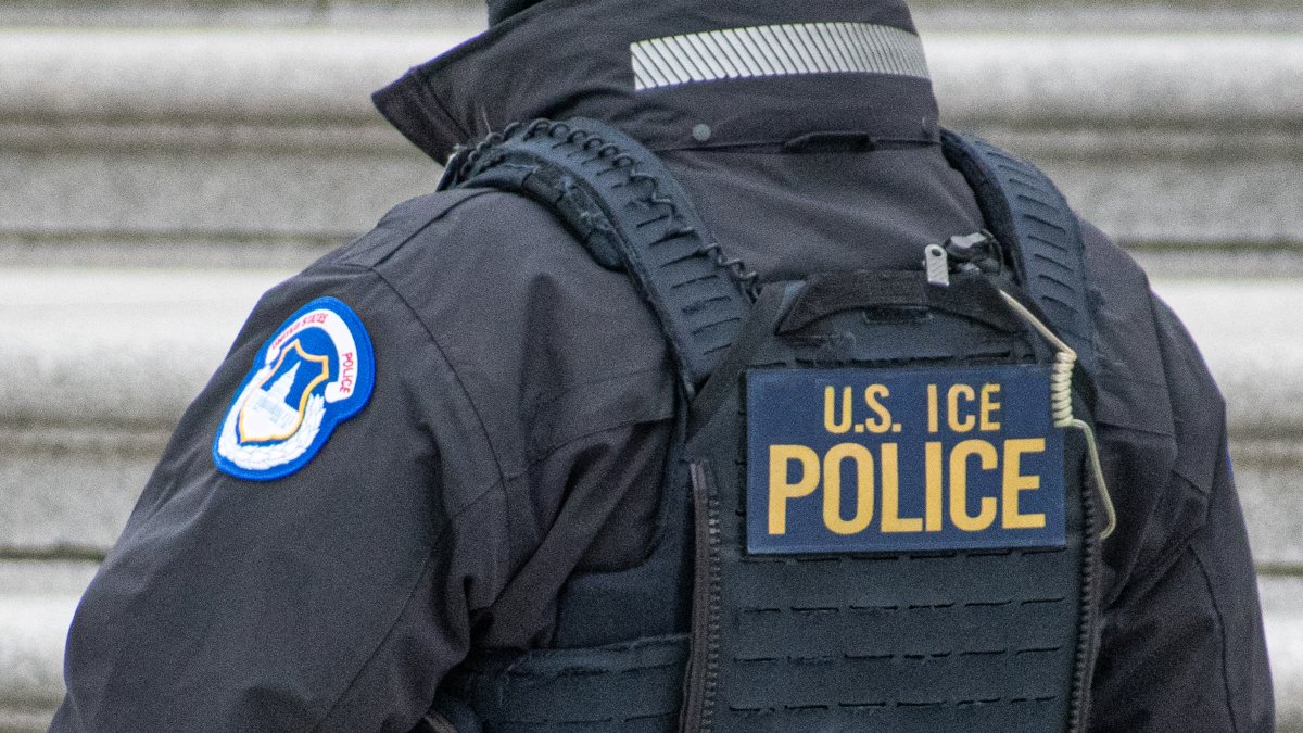 Should ICE be abolished? Illinois' Senate candidate weigh in on the question