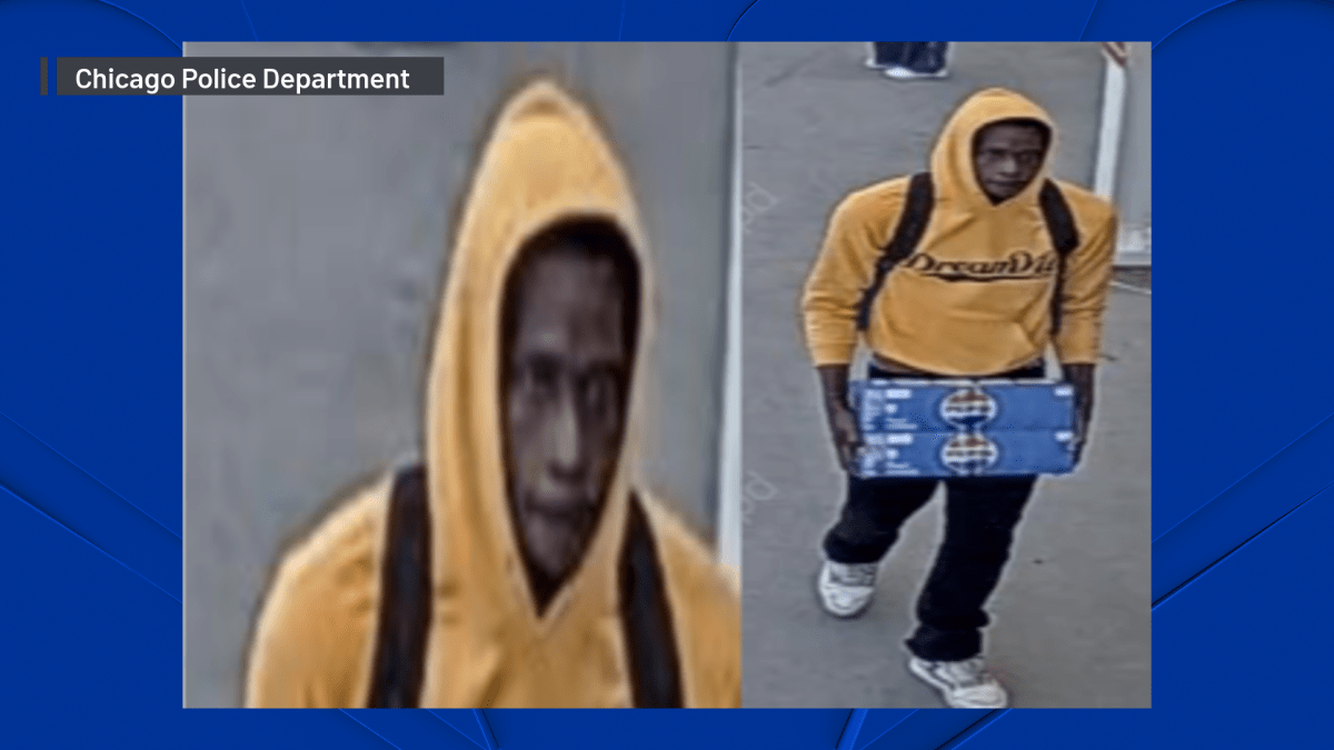 Police release picture of man sought for attacking elderly person on CTA platform