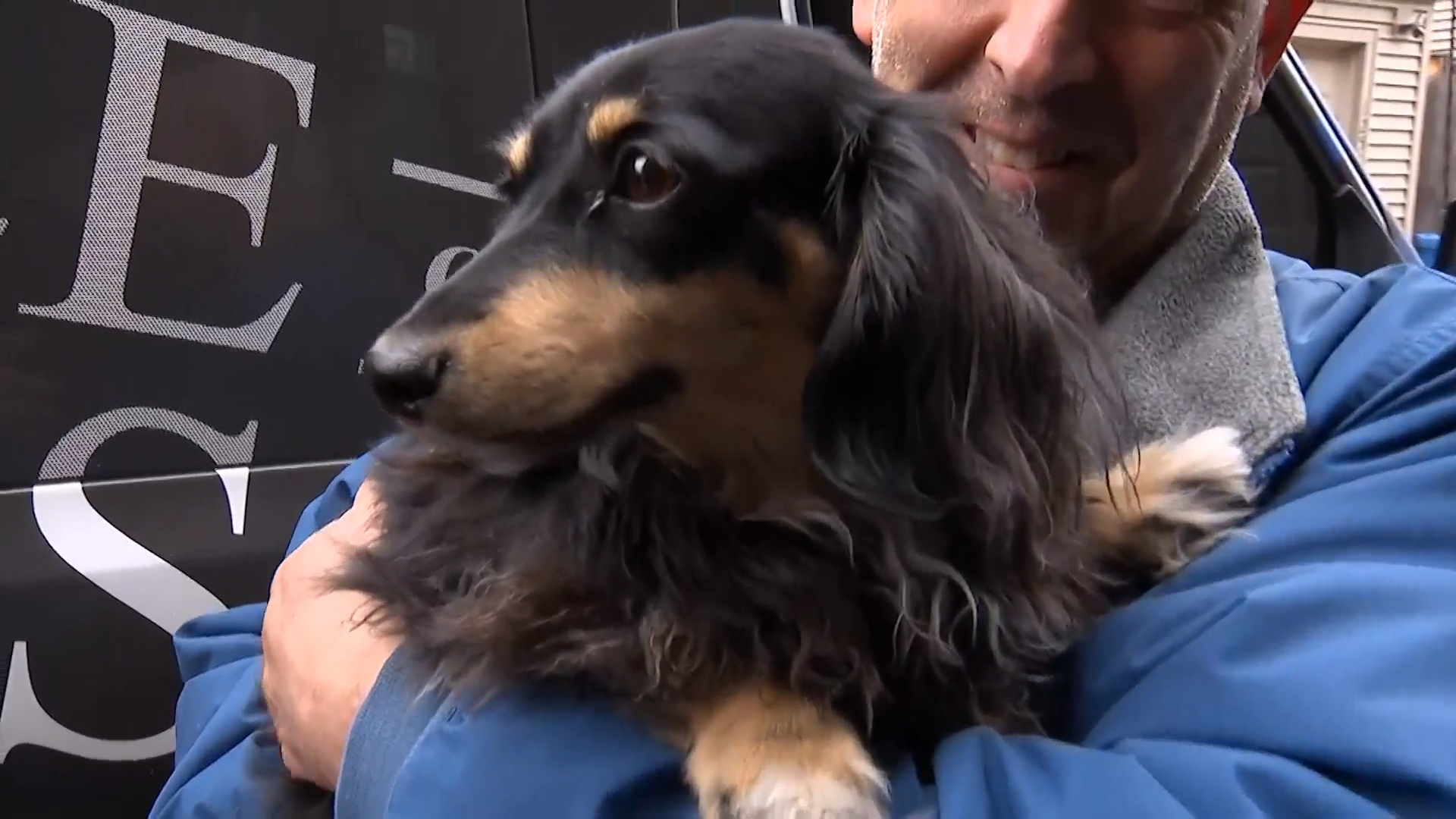 Dogs reunited with owners after boarder's van stolen in Lincoln Park