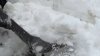 How snowy will this winter be in Chicago? Here's what the Farmers' Almanac says