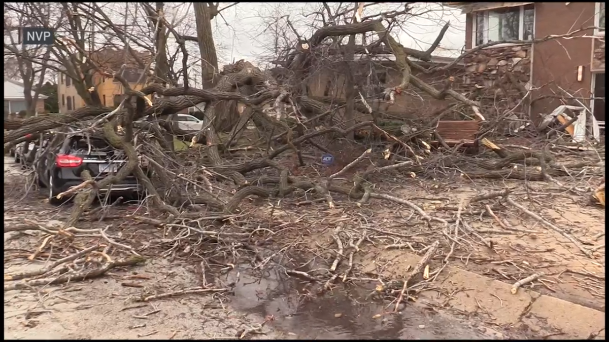 Just how windy was the city? Peak gusts from strong winds across Chicago area