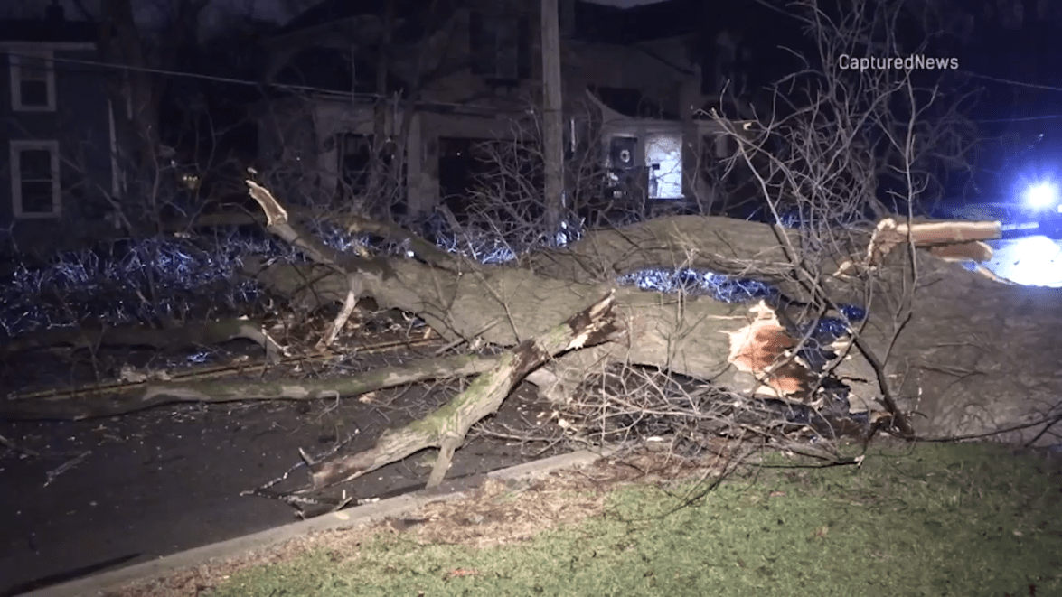 Chicago Trees Exploding High winds blow roofs off multiple buildings in Chicago area – NBC Chicago