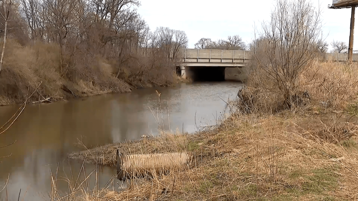 Body found in NW Indiana river where teen was reported missing Body found in NW Indiana river where teen was reported missing