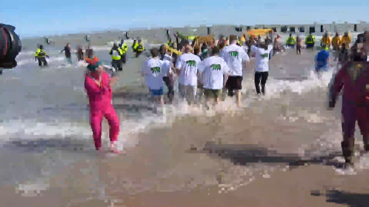Polar Plunge Chicago raises more than $1.5 million, officials say