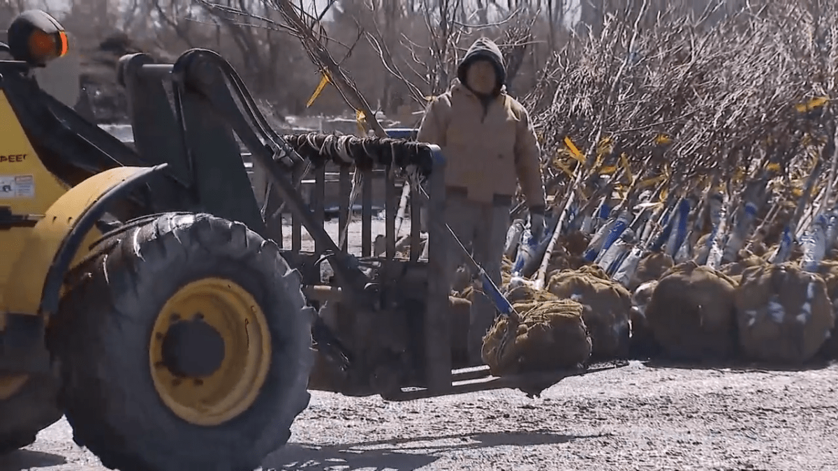 Familys landscaping business reopens following deadly Kankakee County tornado