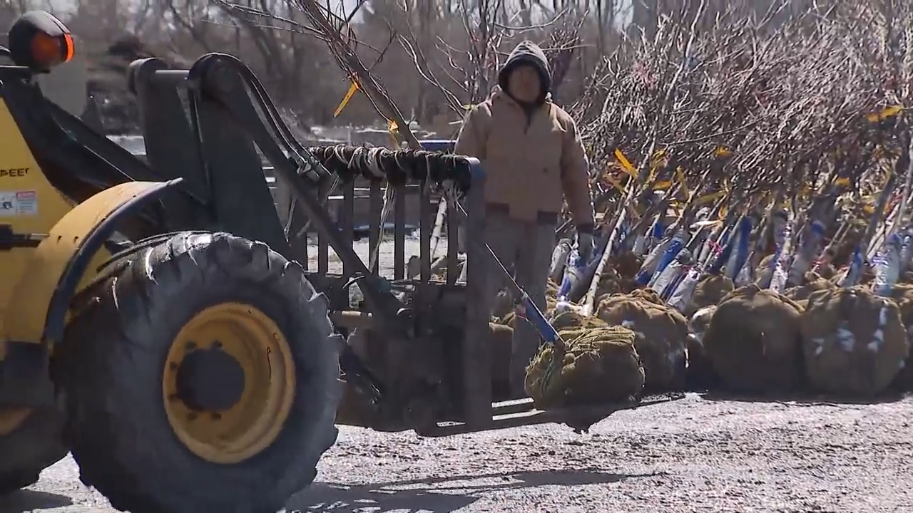 Family's landscaping business reopens following deadly Kankakee County tornado
