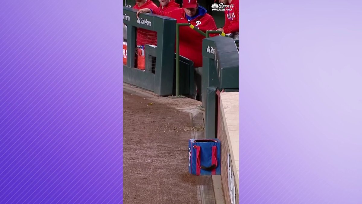 Springdale Rats Huge rat steals the show during Cubs game at Wrigley Field – NBC Chicago