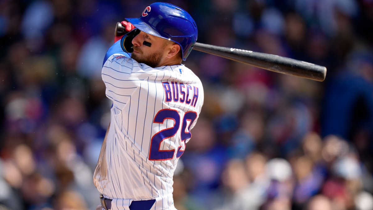 Goose on the loose: Michael Busch chases off waterfowl at Wrigley Field Goose on the loose: Michael Busch chases off waterfowl at Wrigley Field