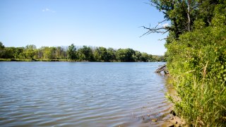 Body found floating in Fox River in St. Charles – NBC Chicago
