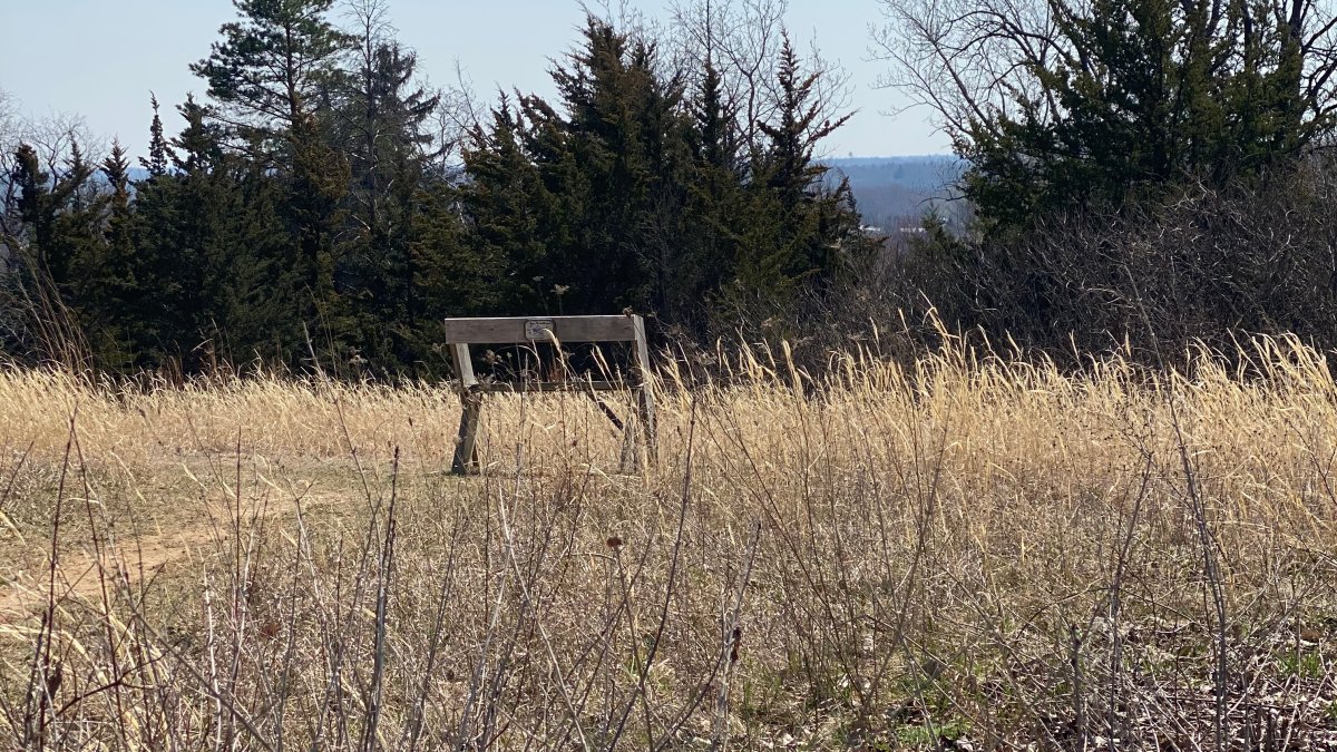 Human remains found in popular suburban forest preserve: Police