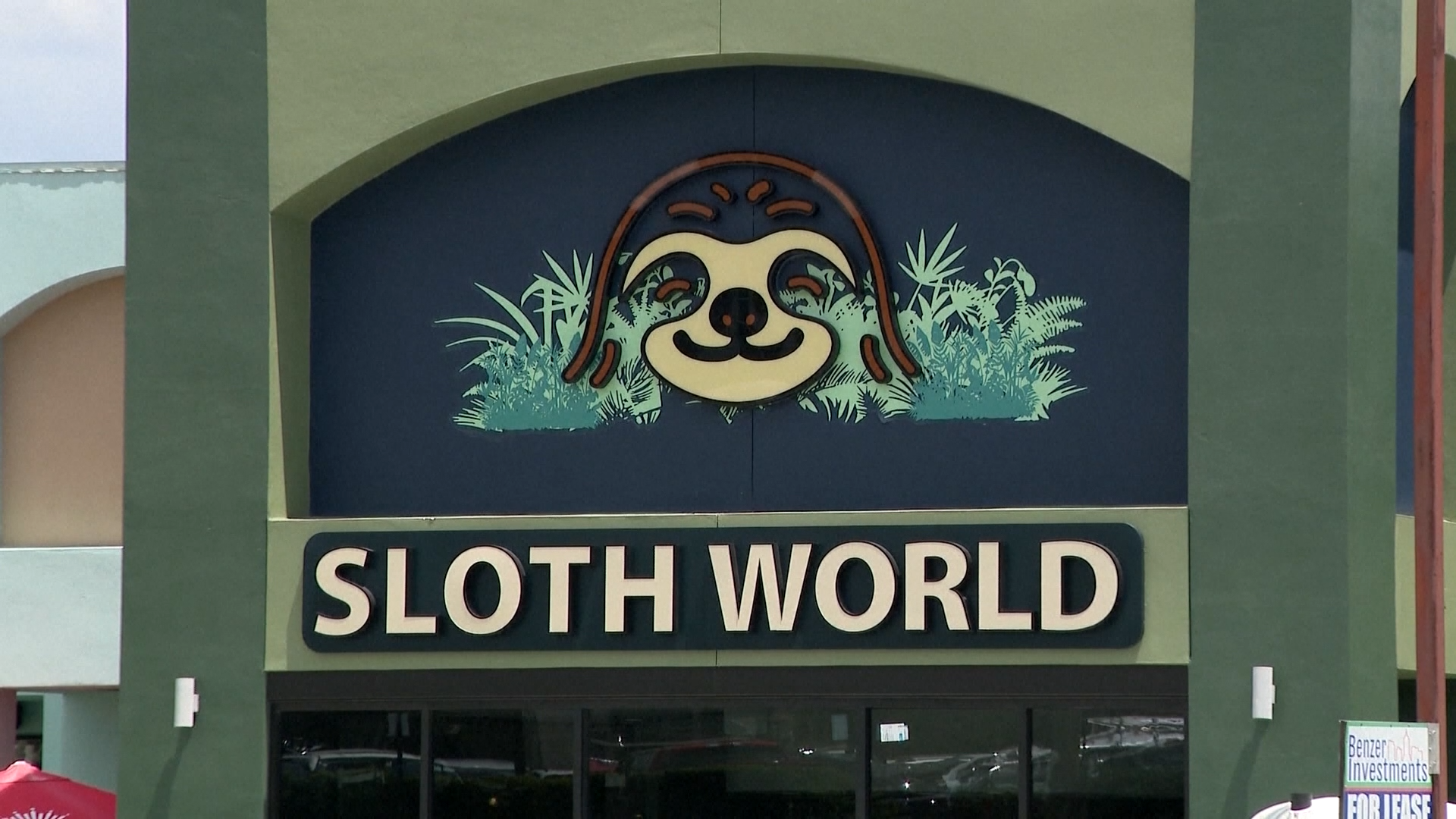 31 sloths meant for Florida ‘slotharium' attraction die in warehouse or in transit