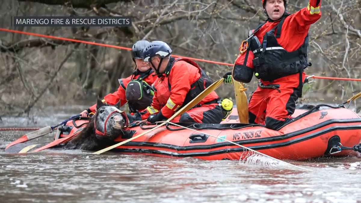 Beloved horse reunited with owner after hours-long water rescue in McHenry County Beloved horse reunited with owner after hours-long water rescue in McHenry County