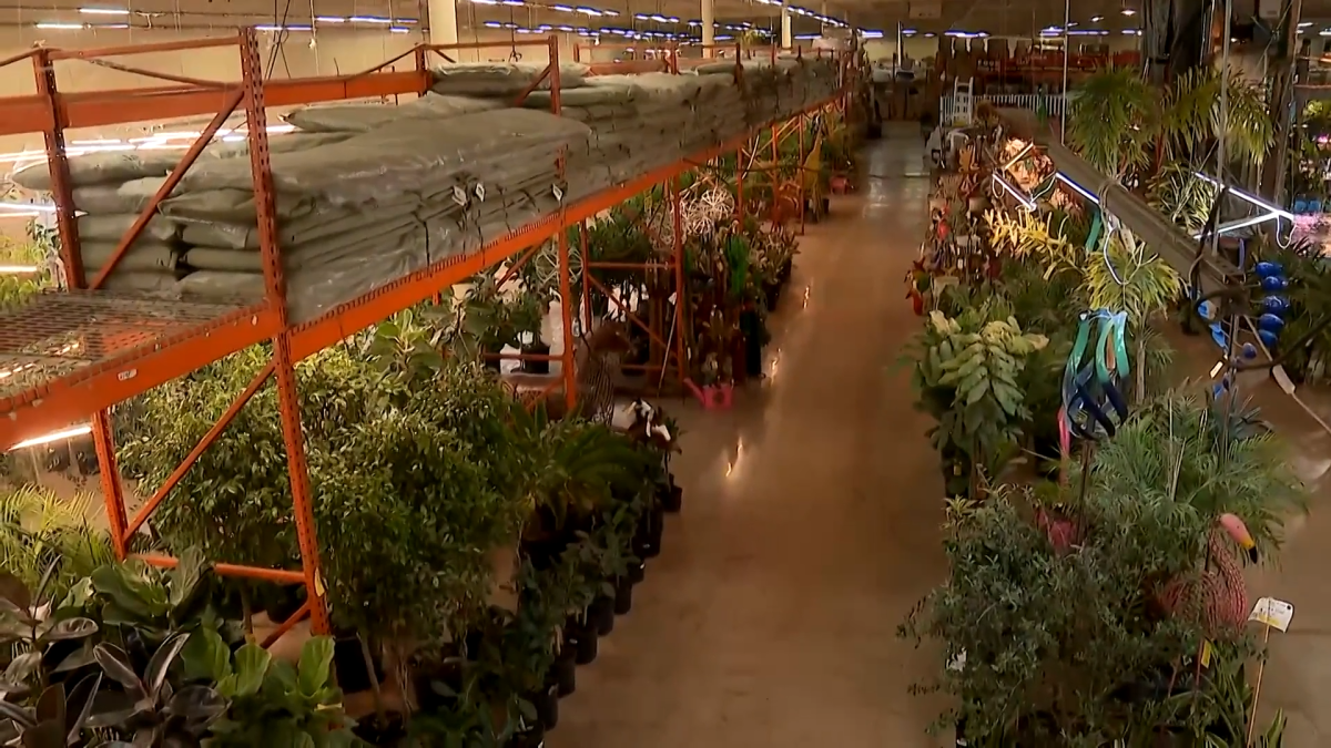 One-of-a-kind hidden gem in north suburbs desperately searches for new location