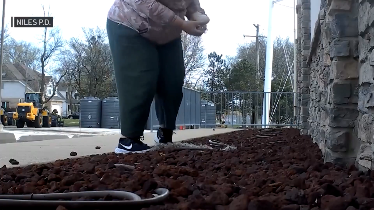 Woman charged after removing goose eggs from nest in suburban Niles