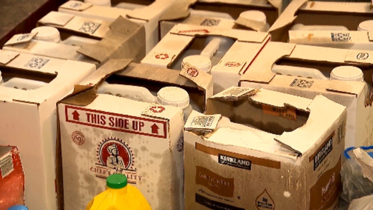 Loyola University using used vegetable oil to fuel buses, other machinery