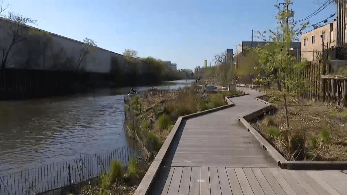 A floating dock on the Chicago River is a wildlife sanctuary open to the public