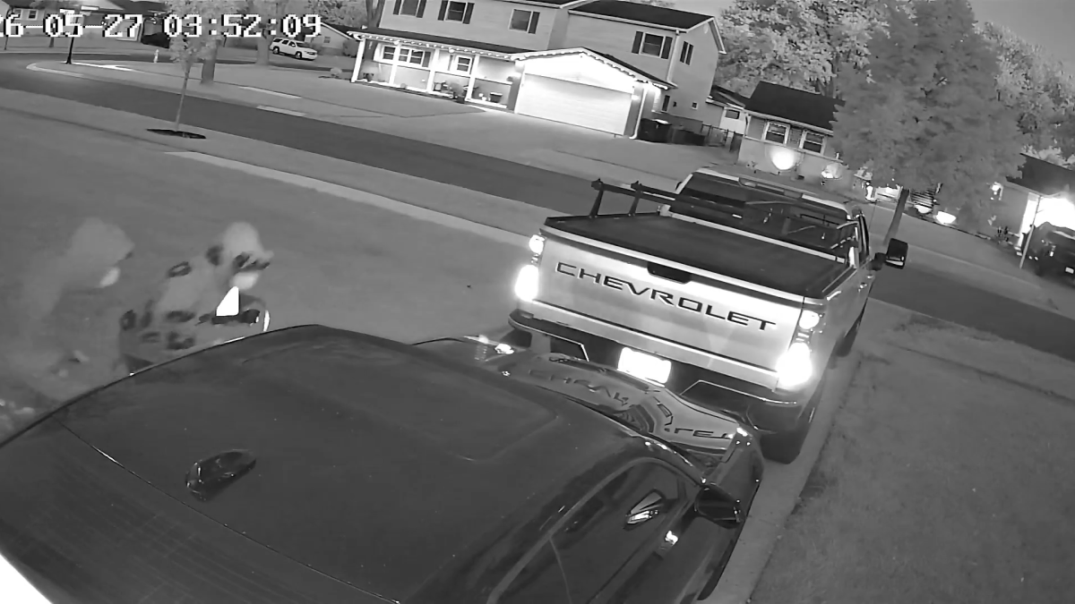 WATCH: Security cams capture moment suburban homeowner scared away would-be car thieves