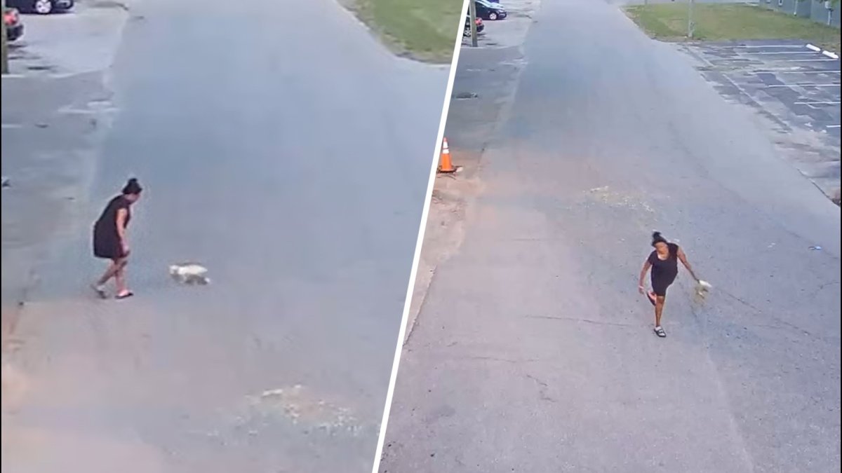 Woman arrested after being caught on video throwing and kicking a dog in Florida