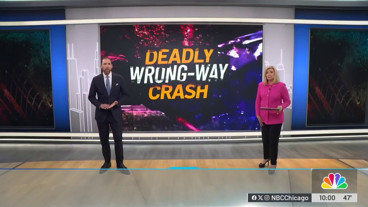 Family of 21-year-old killed in I-88 wrong-way crash demands answers ...