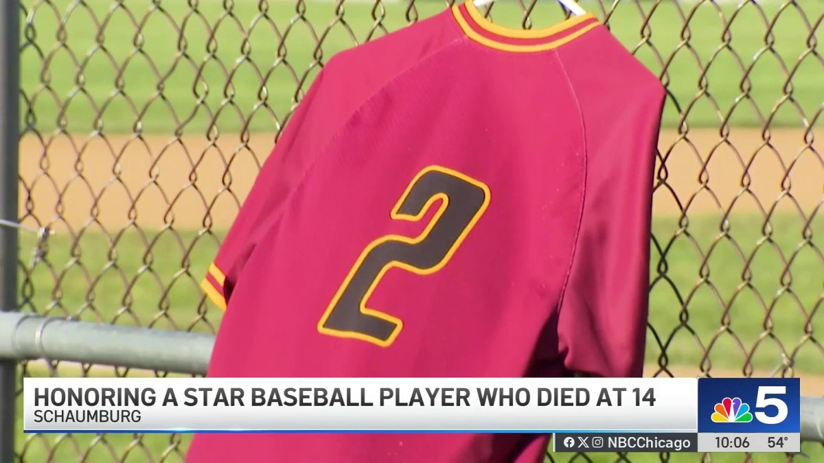 Suburban baseball trailblazer dies suddenly after brain aneurism