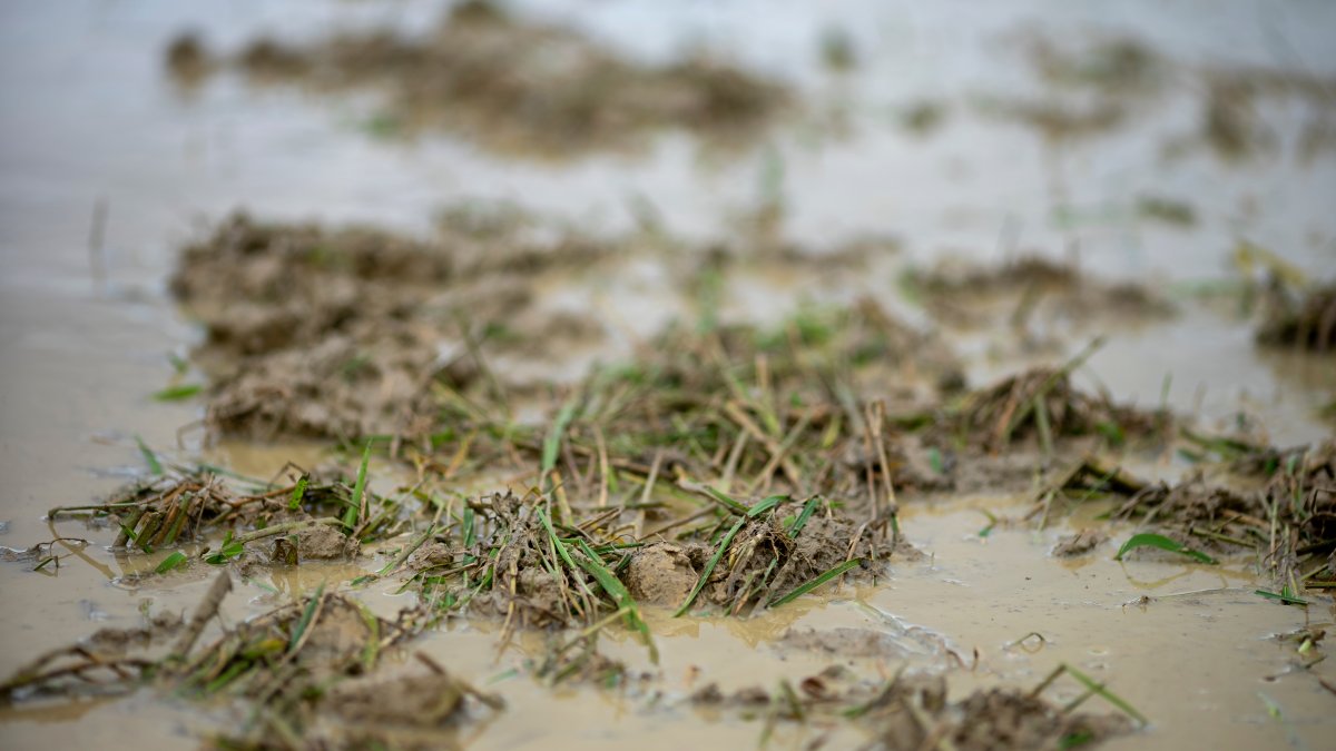 20-year-old rescued from mud up to his waist in Lake Forest ravine ...
