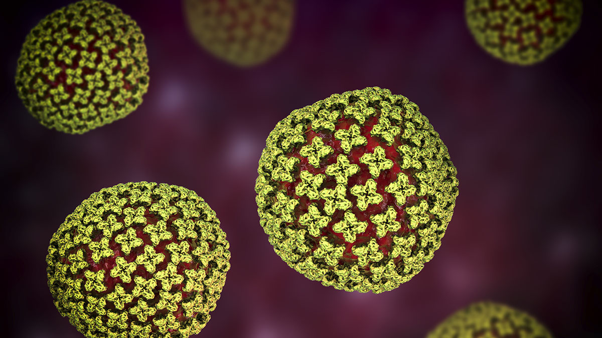 How did an Illinois resident potentially contract hantavirus? What weve learned