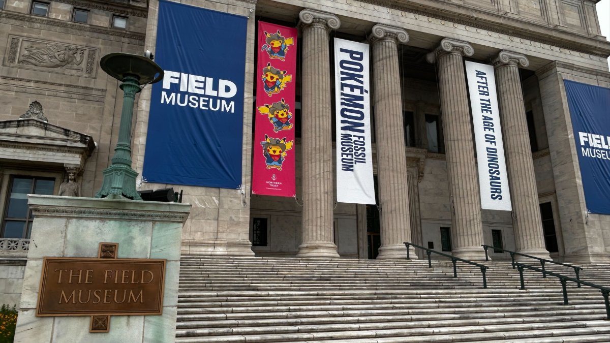 Epic new Pokémon Fossil Museum exhibit opening inside Field Museum Epic new Pokémon Fossil Museum exhibit opening inside Field Museum