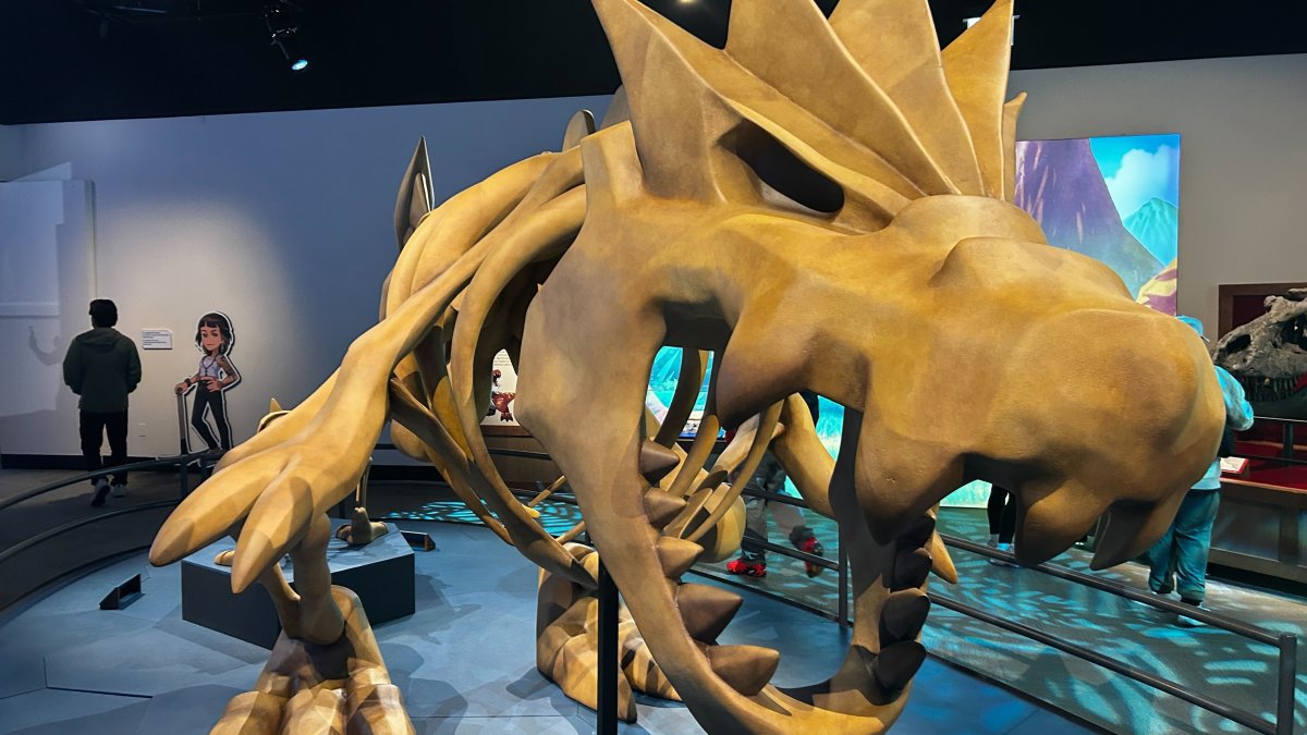 New Pokémon exhibit opening at Chicago’s Field Museum – NBC Chicago