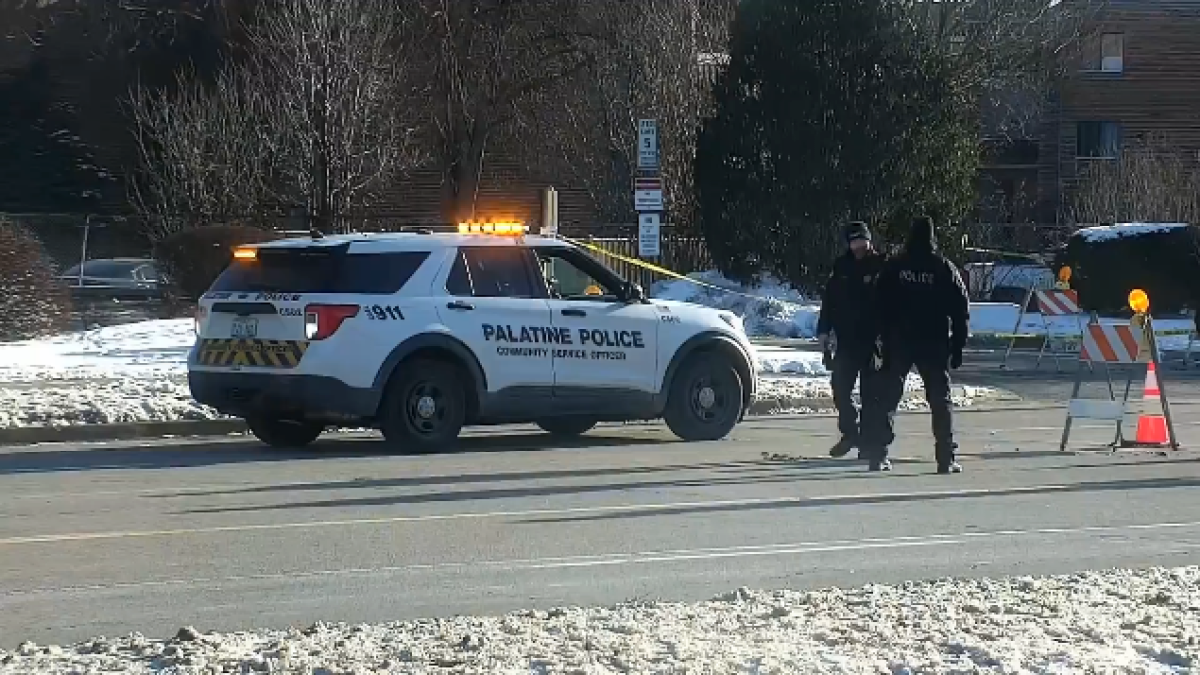 Suburban teen charged with murder in mans Palatine killing, police say