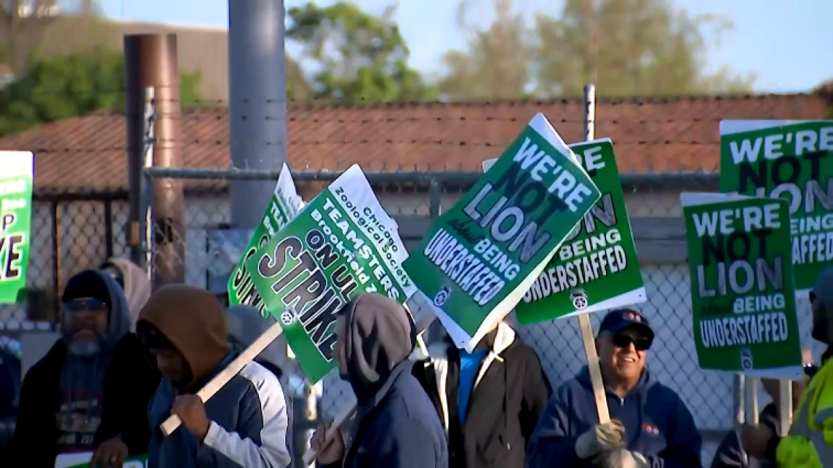 Around 100 union workers strike at Brookfield Zoo over health insurance, wages