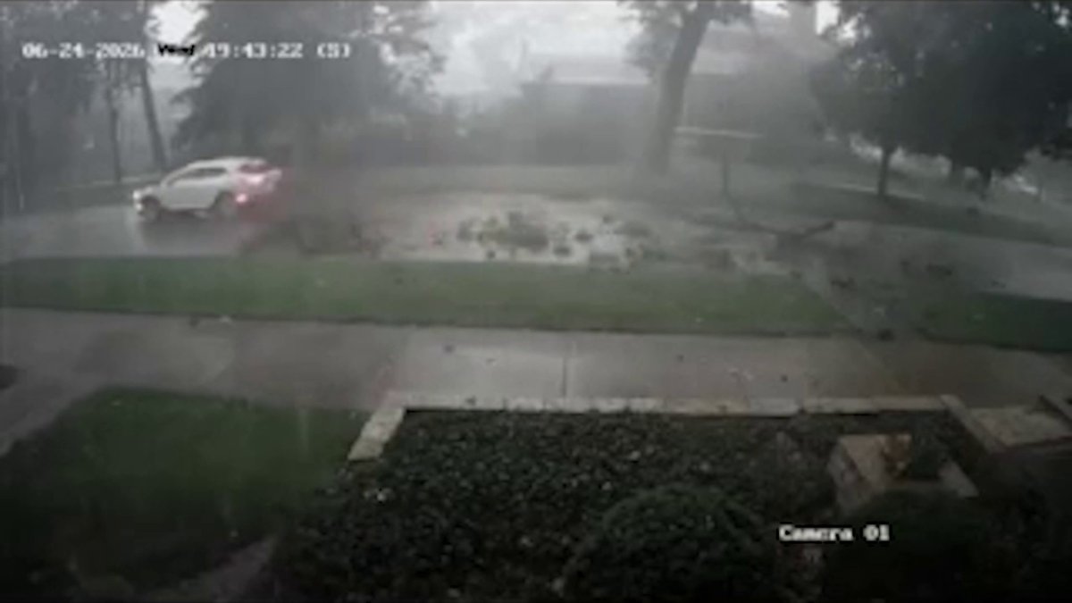 Large branch falls on moving car in Chicago amid strong storms