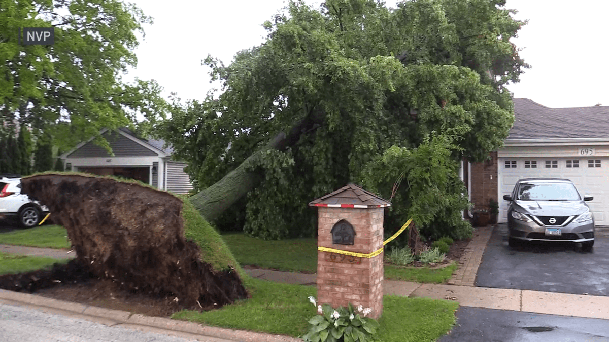 &lsquo;Several downed trees: Multiple suburbs report damage from Wednesday storms