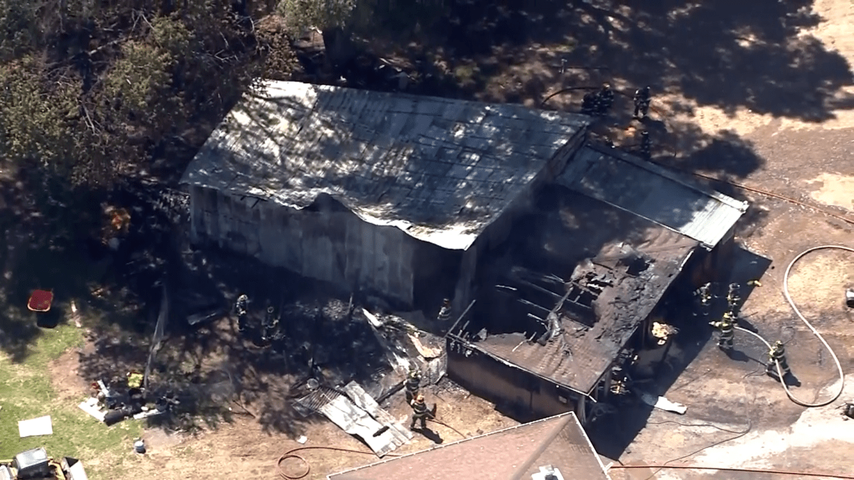 Two mini ponies, several chickens killed in blaze that engulfed suburban barn