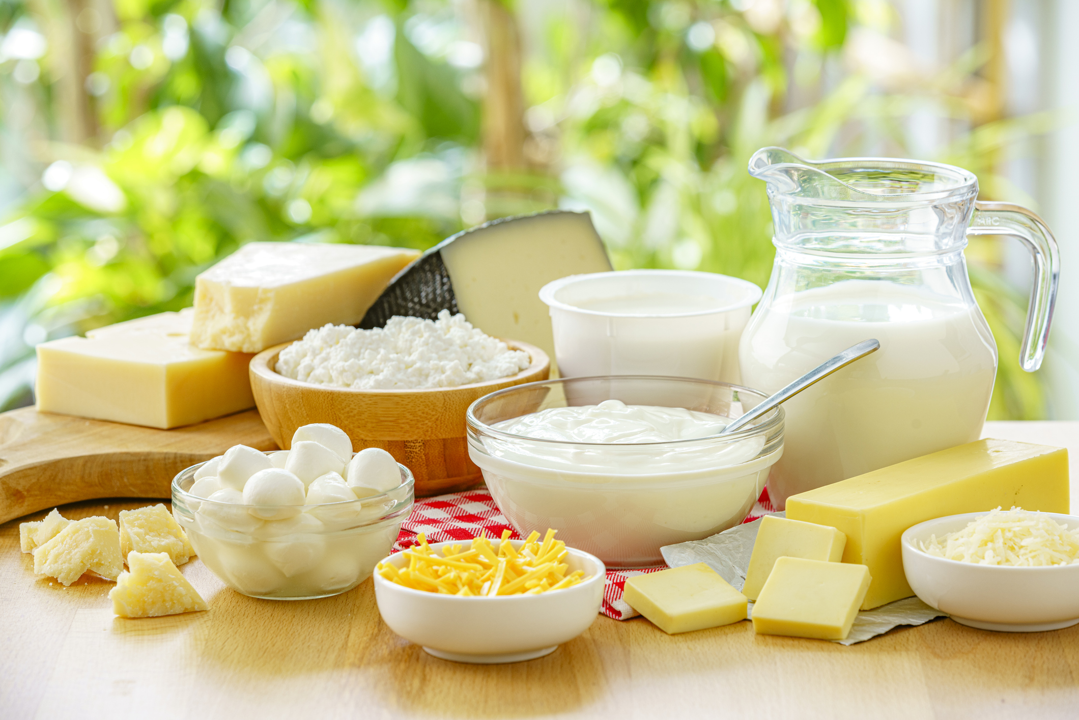 The 7 highest protein cheeses to add to your diet to support muscle growth and metabolism