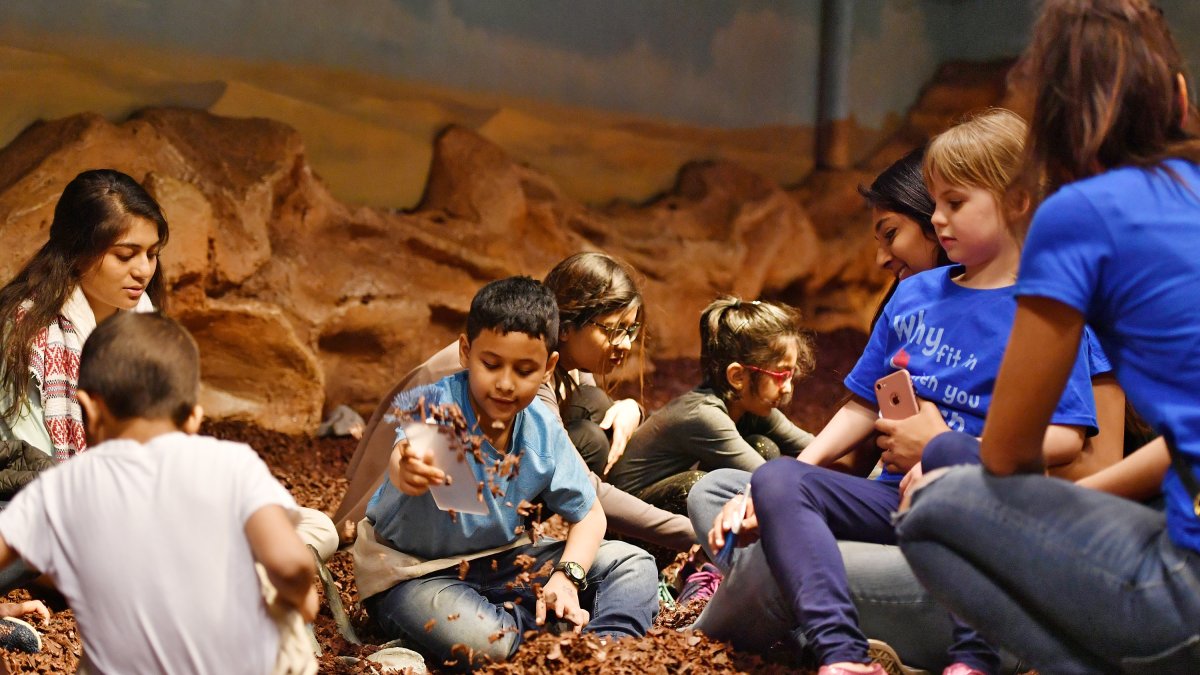2 popular Chicago kids museums free this week for 1 day only