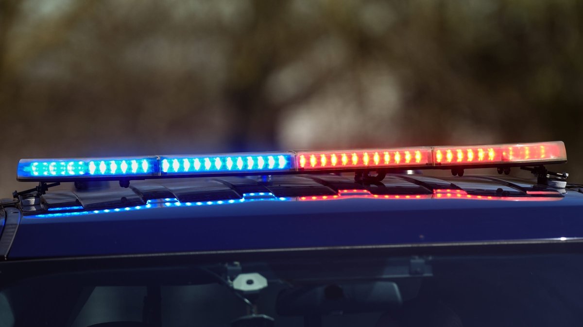 Human remains found in southwest suburban backyard, police say