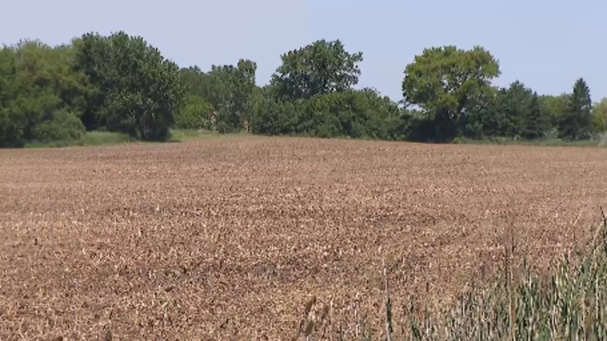Residents push back against possible idea for third data center in Hoffman Estates