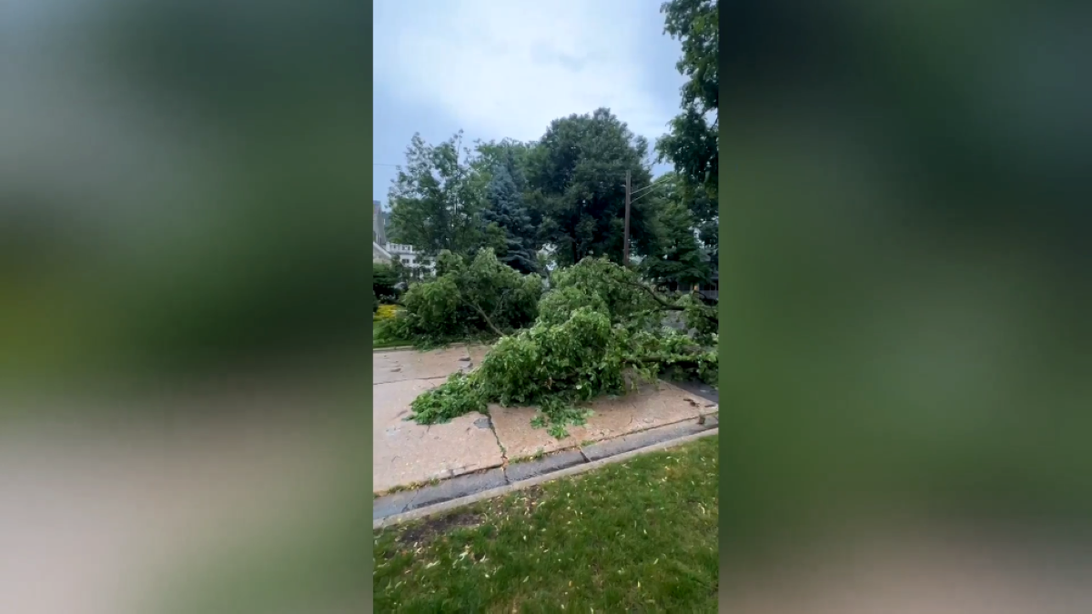 RECAP: Severe thunderstorms leave thousands without power in Chicago area