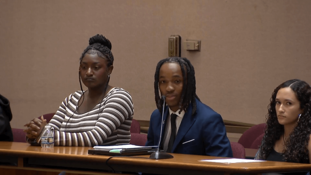 Chicago teens discuss ways to address mass gatherings during city hall hearing