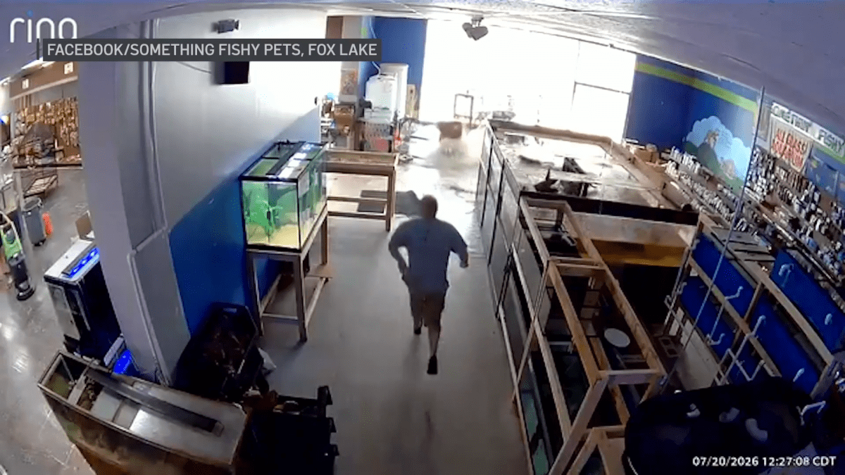 Video: Massive fish tank unexpectedly bursts inside suburban pet store
