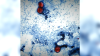 ‘Considerably higher': Cyclosporiasis cases rise again. Latest update for Illinois