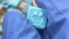 DEA warns Lollapalooza-goers that pills sold as molly, ecstasy may be ‘pure meth'