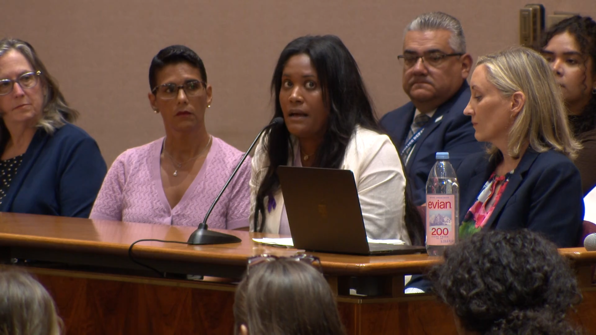 Chicago, Cook County task force seeks to improve court system for domestic violence survivors