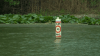 Coroner investigates ‘partial head' found in Fox River in McHenry County