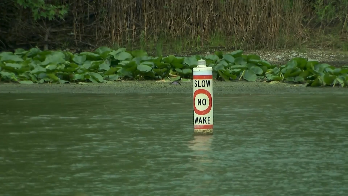 Coroner investigates ‘partial head' found in Fox River in McHenry County