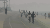 Should you cancel your weekend plans? What meteorologists say about wildfire smoke