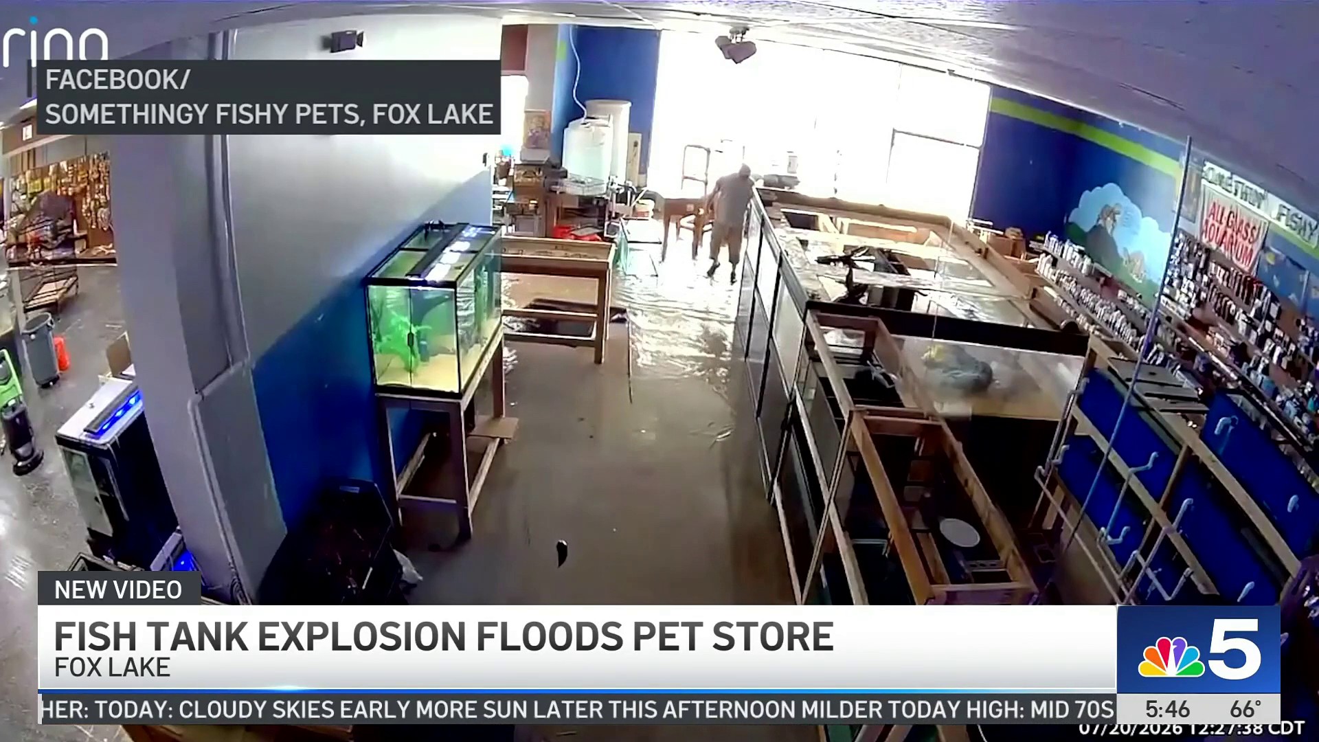Video: Massive fish tank unexpectedly bursts at Fox Lake pet store
