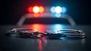 Police locate suspect in west suburban marsh after search using drones, K-9s
