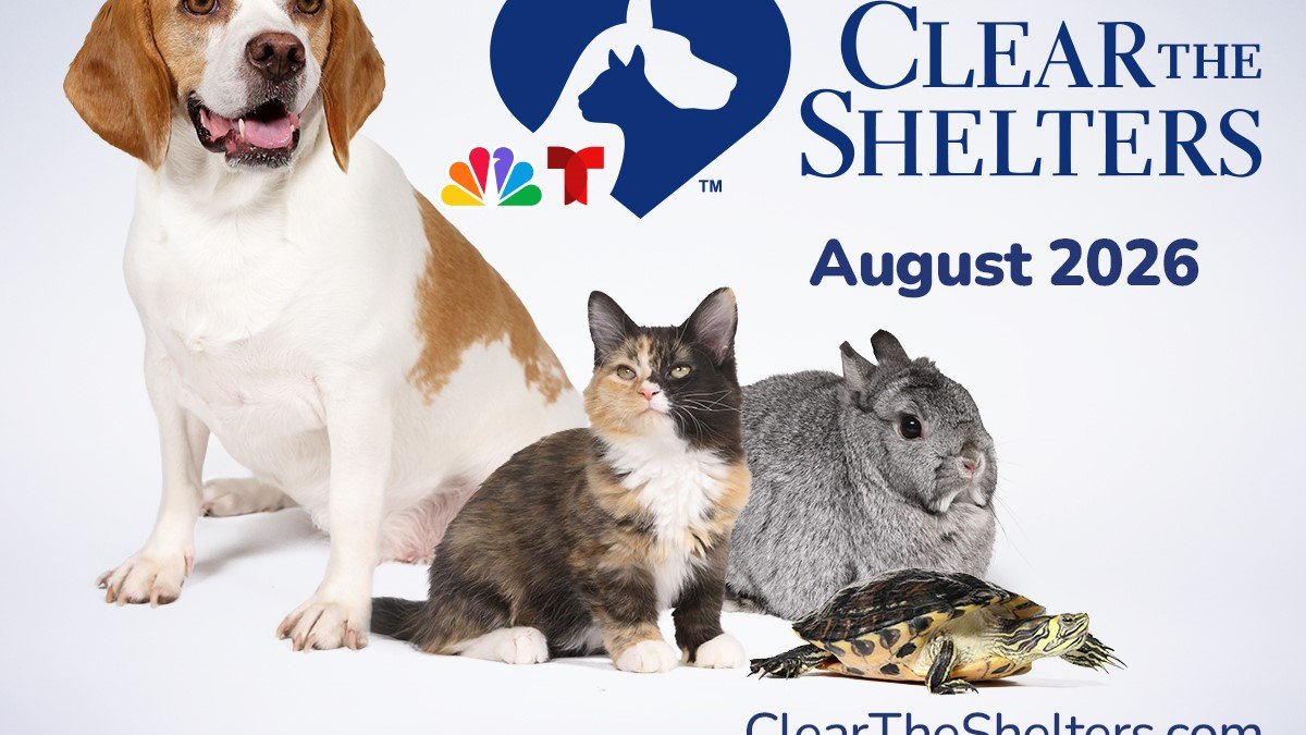 Annual pet adoption and donation campaign &lsquo;Clear the Shelters returns this August