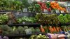 ‘Lettuce or salad greens' could be potential source of cyclosporiasis outbreak, health officials say